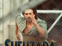 shehzada