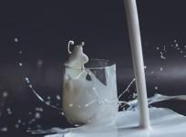 Milk