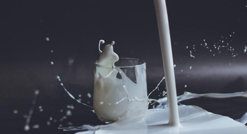 Milk