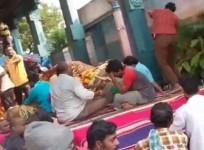 Puducherry temple elephant 'Lakshmi' collapses on road