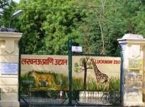 Lucknow zoo