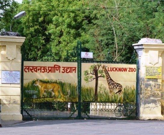 Lucknow zoo Lucknow zoo