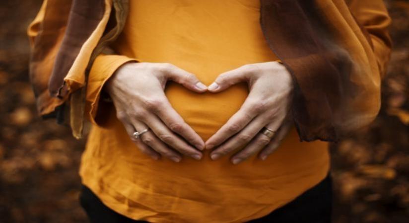 Pregnancy Pregnancy