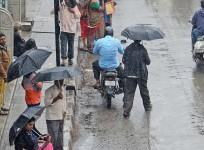 People use umbrellas during light rainfall, in Bengaluru on Thursday, Nov. 24, 2022.