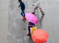 Bengaluru: People use umbrellas during light rainfall, in Bengaluru on Thursday, Nov. 24, 2022