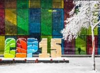 COP15