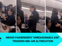 IndiGo passenger's