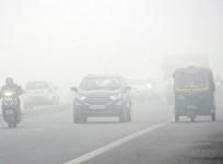 delhi fog