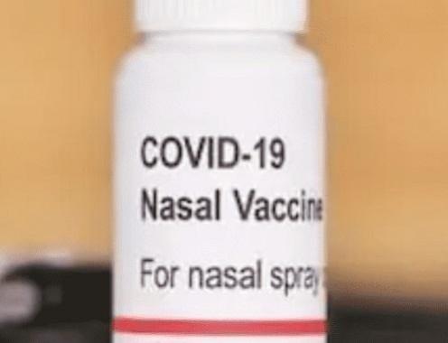 intranasal Covid vaccine intranasal Covid vaccine