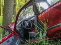 4 Indian students die in car accident in Crimea