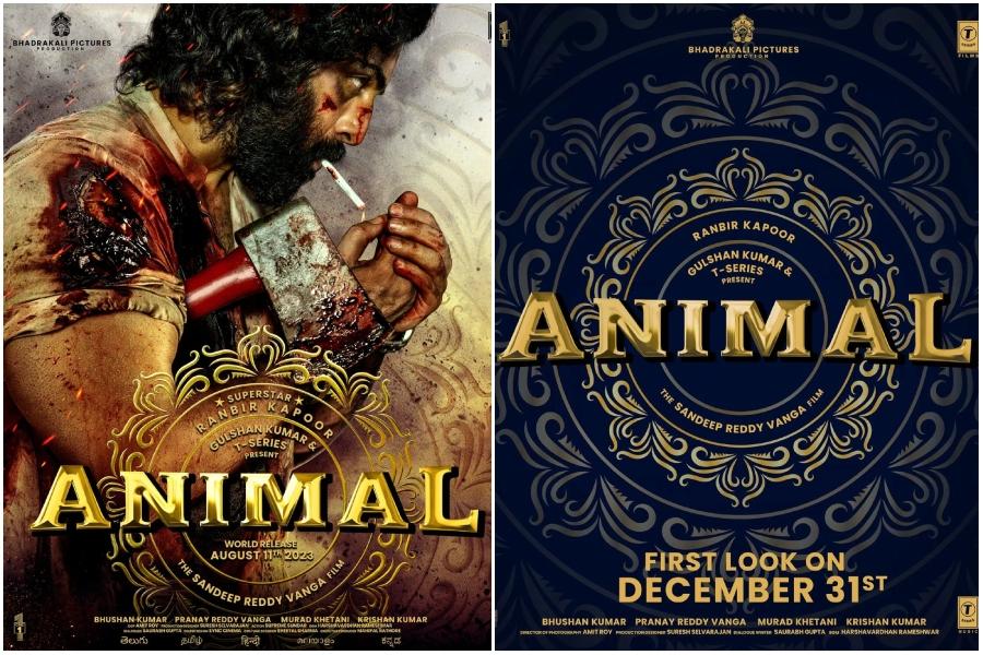 animal movie review in hindi
