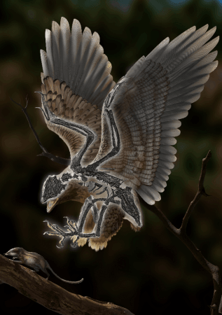 Life reconstruction of the 120-million-year-old bird Cratonavis zhui Cratonavis zhui
