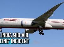 Air India mid-air 'peeing' incident update