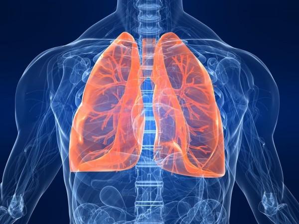 Study shows tumour DNA in blood can predict lung cancer outcome