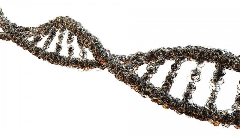 DNA (Representational Picture) DNA