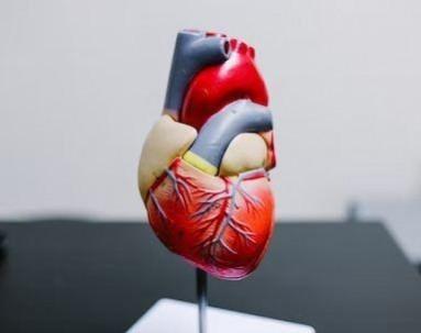 Heart Heart