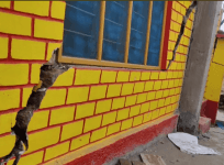 Cracks in Doda village
