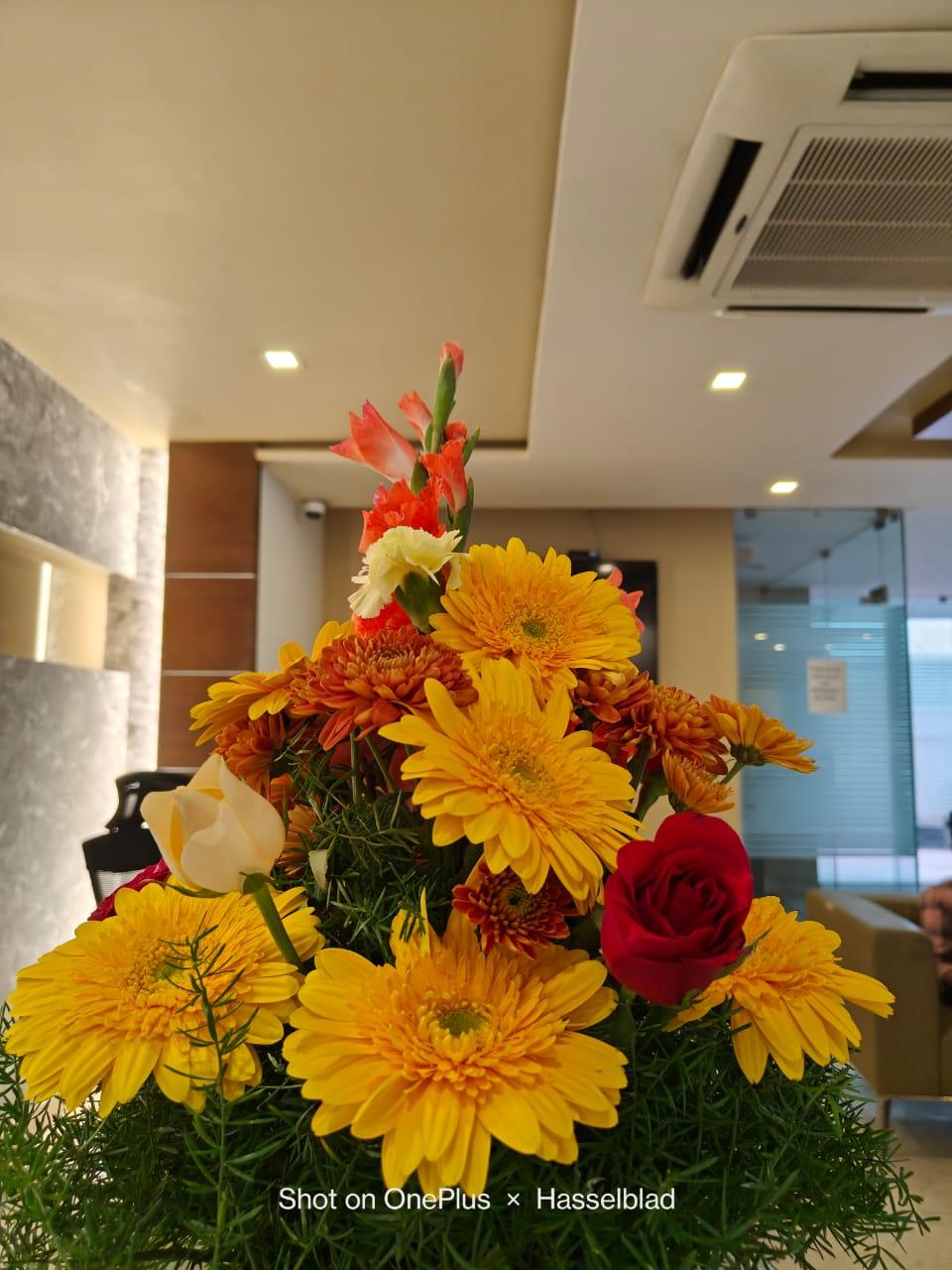 Camera samples shot on OnePlus 11