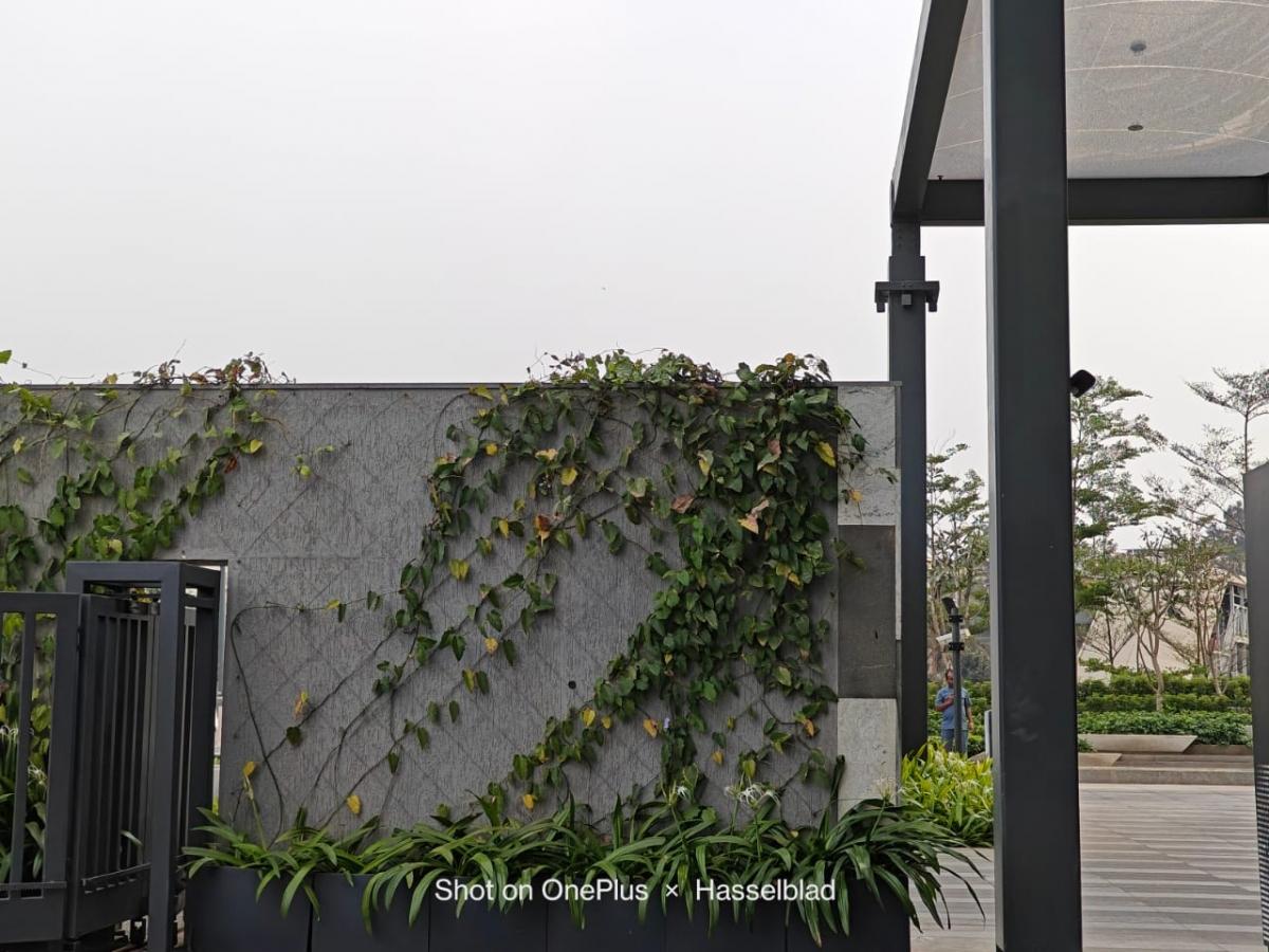 Camera samples shot on OnePlus 11