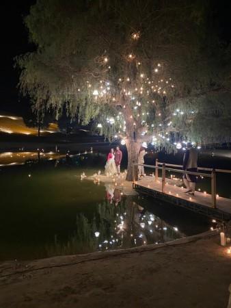Smriti Irani's daughter Shanelle Irani's wedding