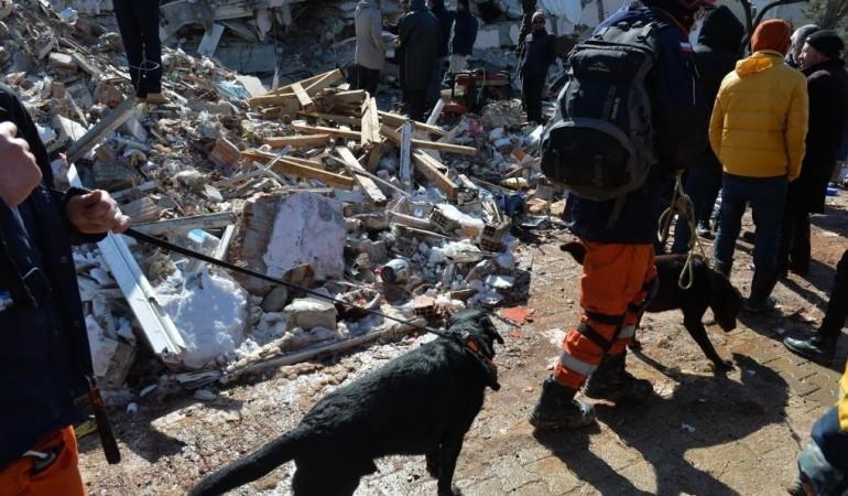 Rescuers carry out rescue operation with rescue dogs in Adiyaman, Turkey, Feb. 8, 2023. The death toll from Monday's devastating earthquakes in Turkey and Syria has surpassed 17,000, according to latest data. Rescuers carry out rescue operation with rescue dogs in Adiyaman, Turkey, Feb. 8, 2023. Earthquakes devastated Turkey and Syria.