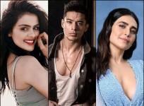 bigg boss 16