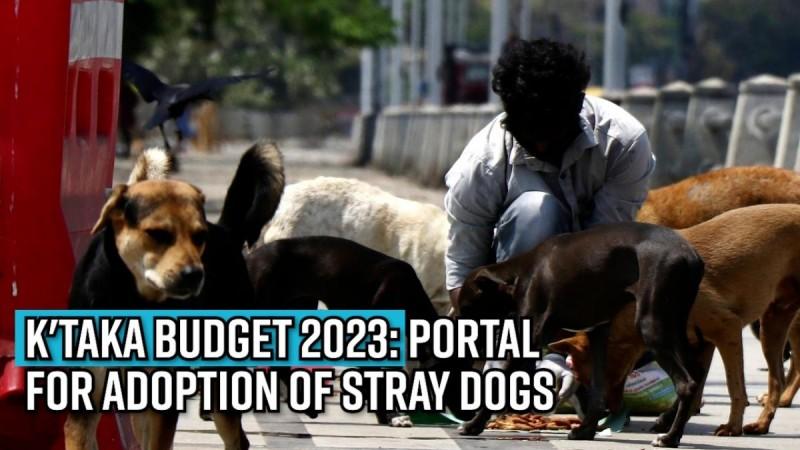 K'taka Budget 2023: Portal for adoption of stray dogs; Rs 5cr for Mudhol Hound breed development