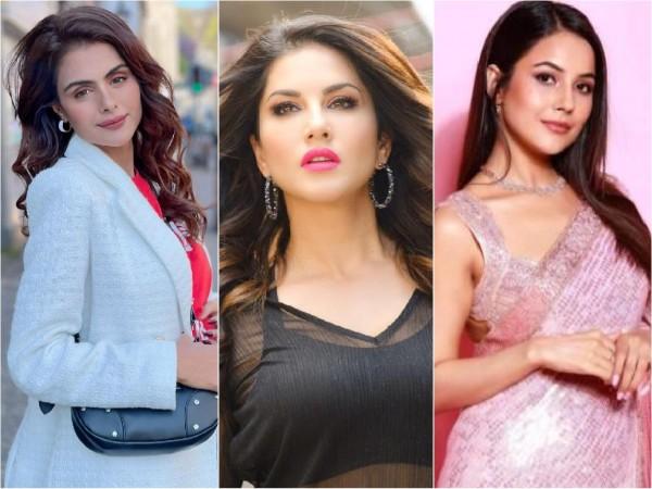 From Priyanka Chahar Choudhary to Shehnaaz Gill, here's list of 6 Bigg ...