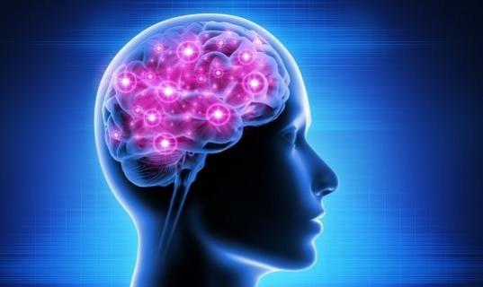 Brighter brain. brighter brain