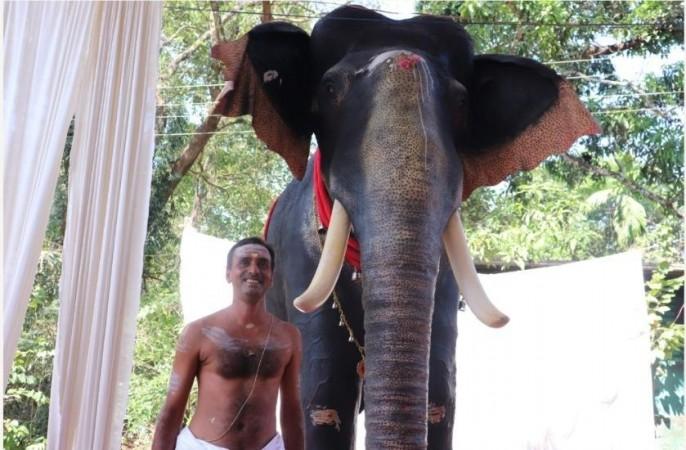 In a first, Kerala temple inducts mechanical elephant for ritual duties -  IBTimes India