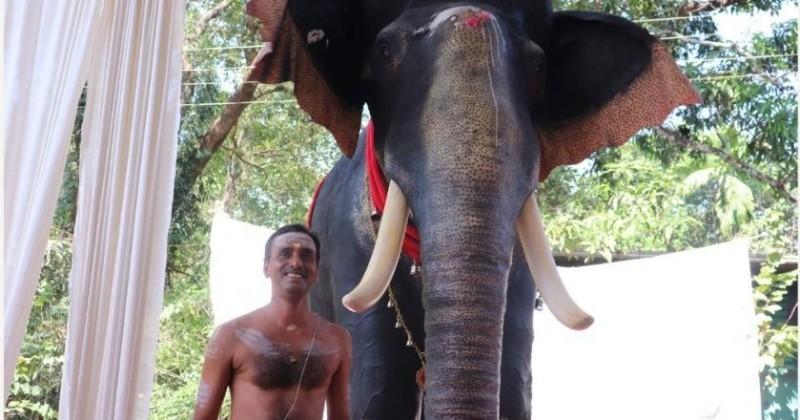 Elephant Ritual In a first, Kerala temple inducts mechanical elephant for ritual duties ...