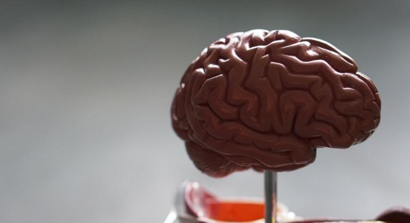 10 early signs of Parkinson's disease. 10 early signs of Parkinson's disease.