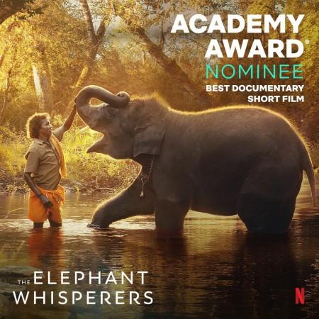 Elephant Whisperers