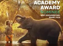 Elephant Whisperers