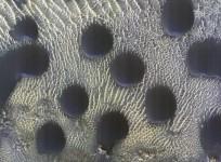 NASA spacecraft captures Unusual Circles of Sand dunes on Mars