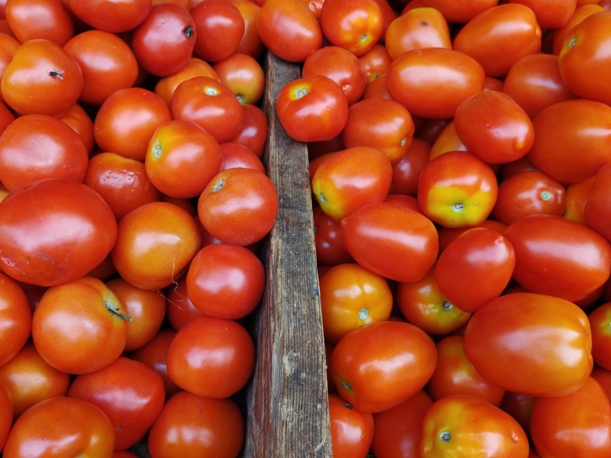 Shot on Poco X5: Main sensor Shot on Poco X5