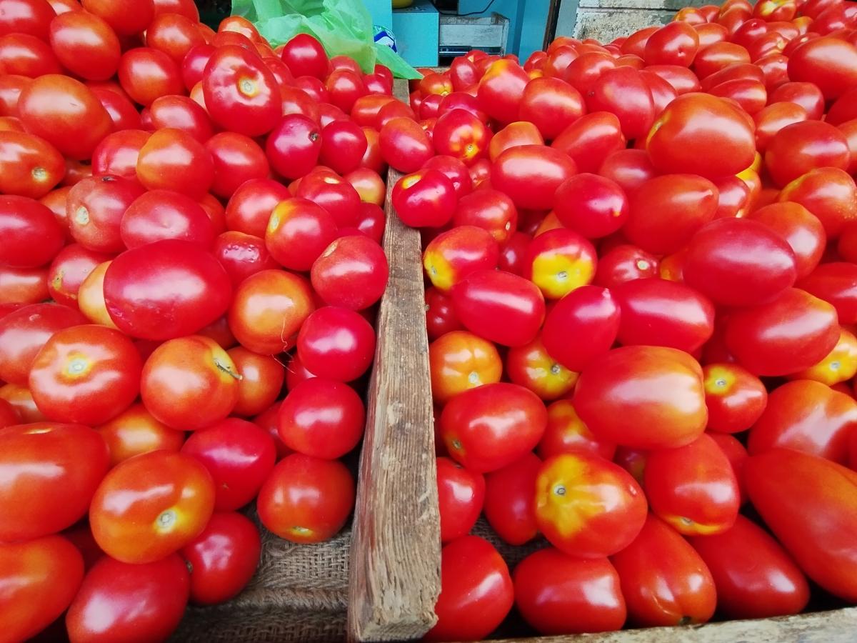 Shot on Poco X5: Ultra-wide Shot on Poco X5