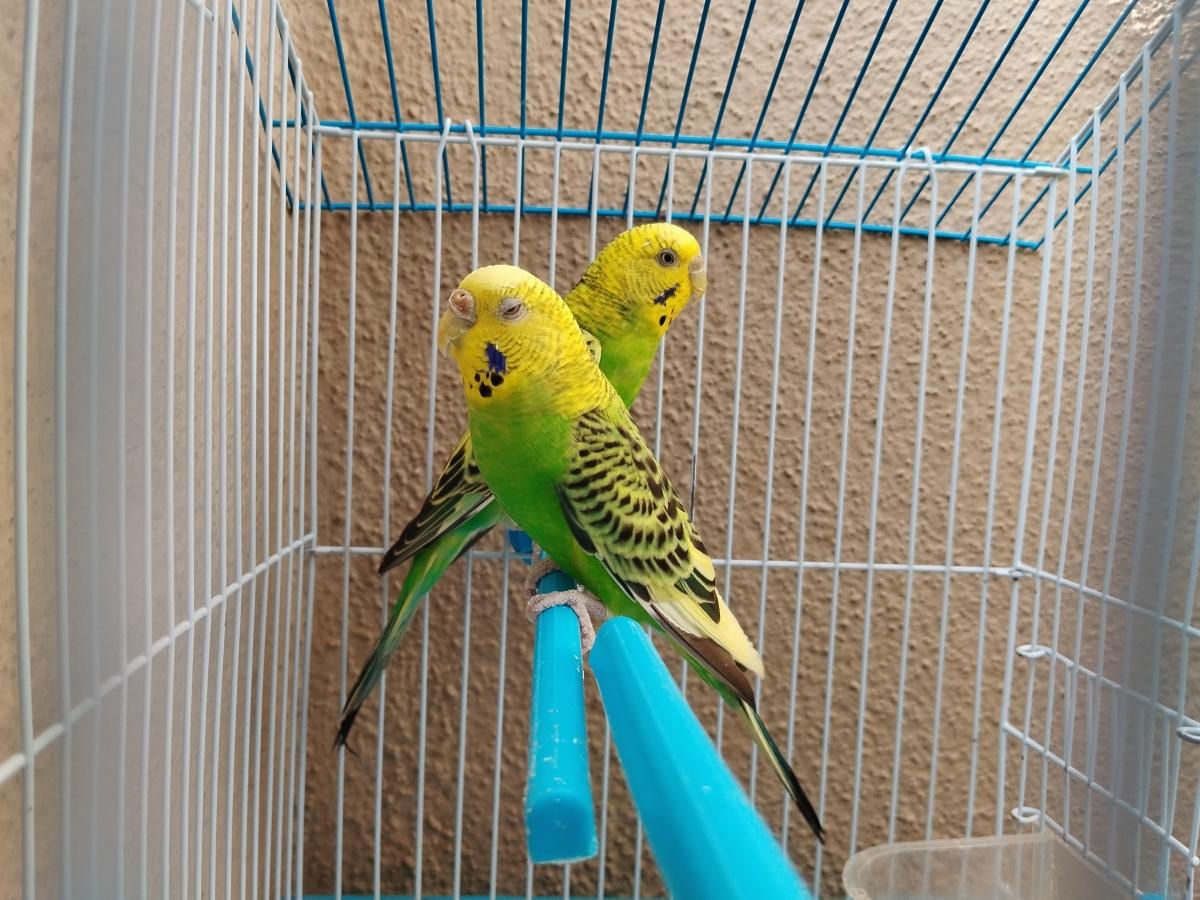 Shot on Poco X5: Portrait Shot on Poco X5