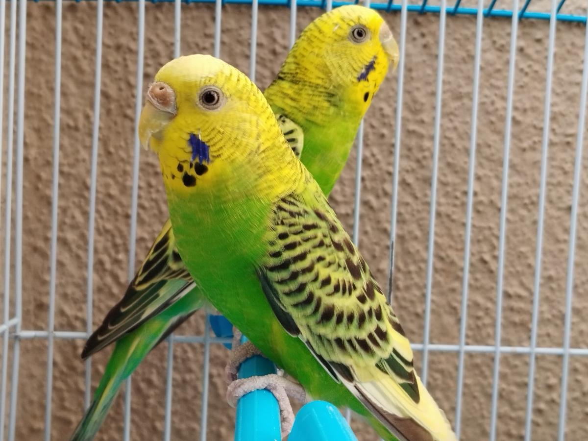 Shot on Poco X5: 2X zoom Shot on Poco X5