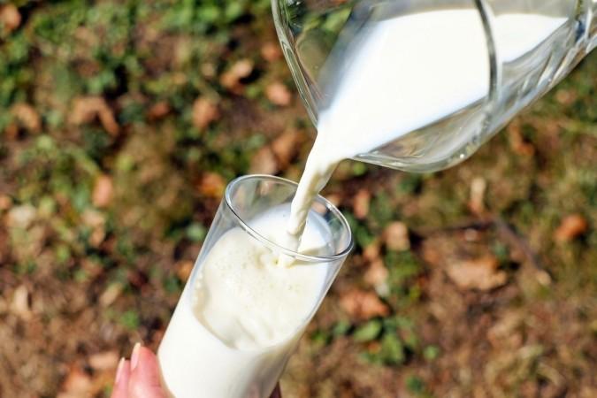 Milk Milk
