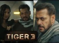 Tiger 3