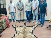 Royal Bengal Tiger Skin and pair of black buck antlers recovered by Kolkata customs