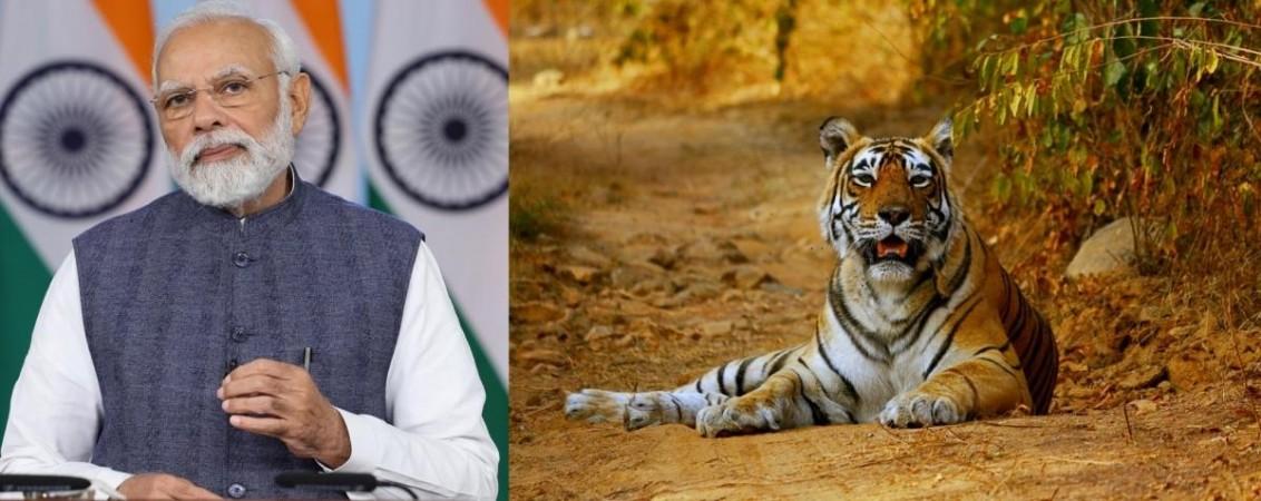 On Project Tiger's golden jubilee, PM to flag off Big Cats Alliance. On Project Tiger's golden jubilee, PM to flag off Big Cats Alliance.