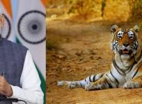 On Project Tiger's golden jubilee, PM to flag off Big Cats Alliance.