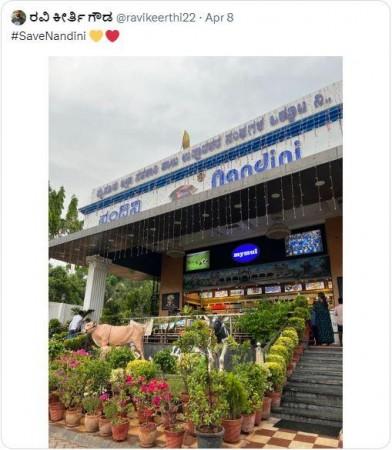 Nandini Mlik