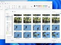 Microsoft introduces 'Gallery' to File Explorer in Windows