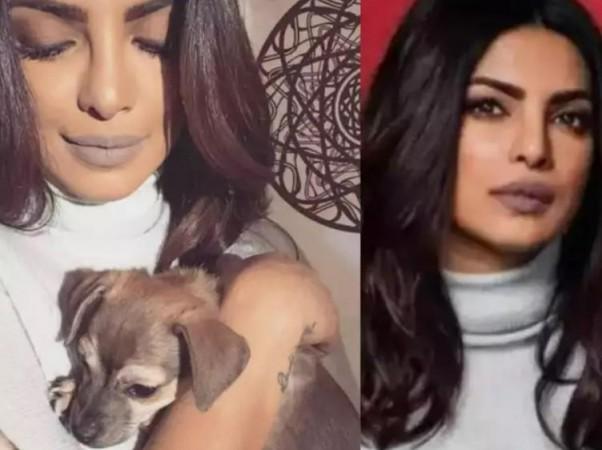 priyanka chopra priyanka chopra