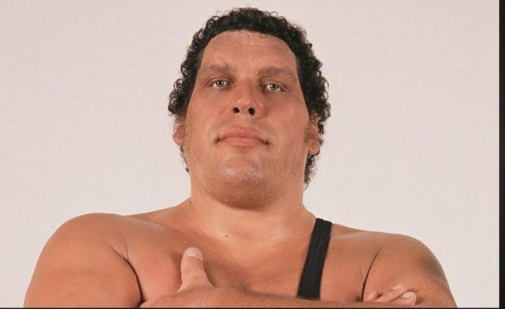 Andre the giant