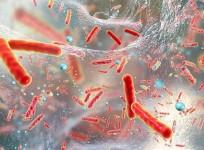 Scientists find mechanism how penicillin can kill MRSA superbug