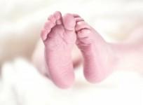 Infant
